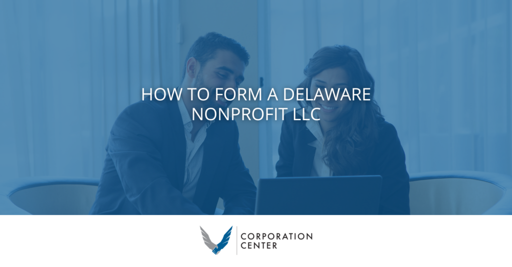 Delaware Nonprofit LLC