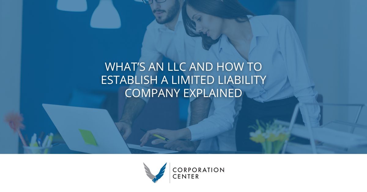What’s an LLC and How to Establish a Limited Liability Company Explained