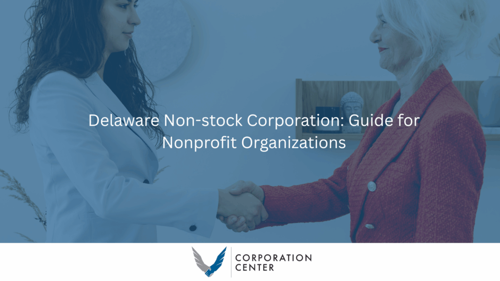 Delaware Non-stock Corporation